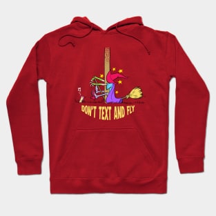 Don't text and fly Hoodie